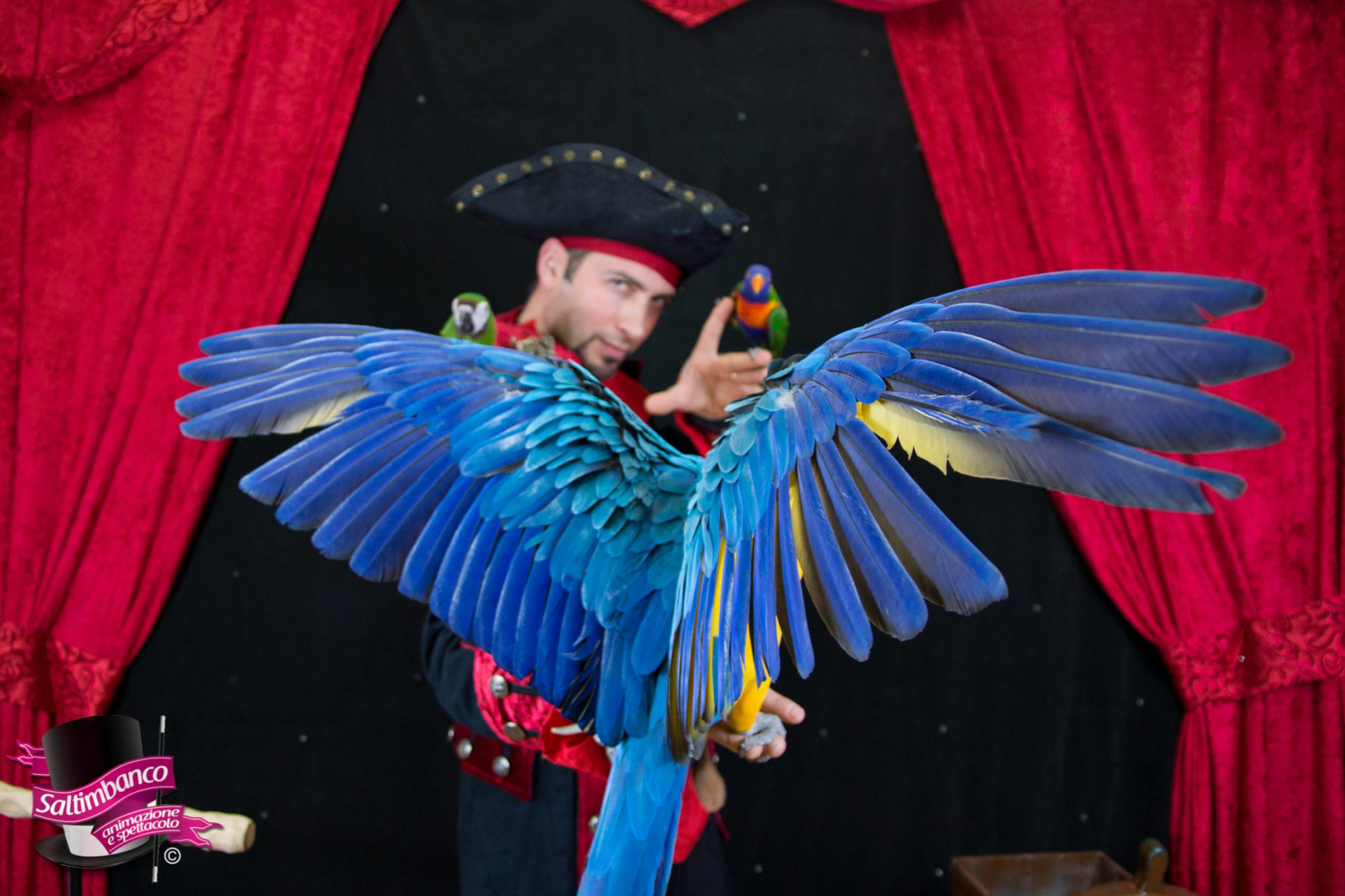 Cos'è uno spettacolo di magia per bambini e perché è necessario!